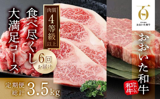 
【6回定期便】【おおいた和牛】食べ尽くし大満足コース 総計3.5kg｜ 肉質4等級以上 こだわりの逸品
