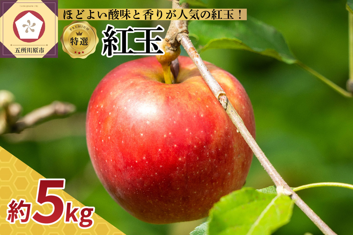 
【選べる配送時期】 りんご 5kg 紅玉 青森
