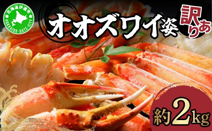 オオズワイ姿（訳あり品）2kg｜かに カニ ズワイガニ オオズワイ【ysk-008】