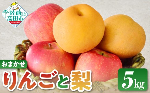 【先行予約】旬のりんごと梨（和梨or洋梨）ミックスセット　品種お任せ５kg 熊谷農園 RT3318