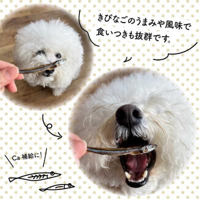 ふるさと納税 糸島市 きびなごジャーキー40g×3袋 糸島市/株式会社コバヤシ【coco.kina[ASL009] |  | 02