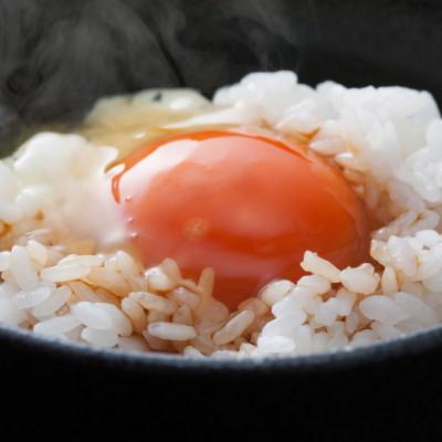 ふるさと納税 雲南市 【紅梅しょうゆ】創業190年以上続く醤油店の卵かけ醤油「たまご醤」150ml×3本 |  | 01