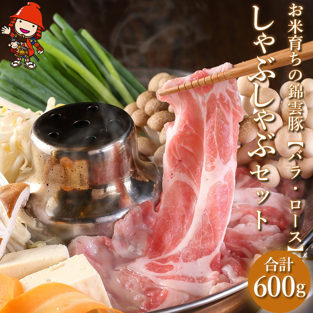 【ふるさと納税】お米育ちの錦雲豚 しゃぶしゃぶギフト セット 合計600g（ロース300g・バラ300g）| ブランド豚 九州産 大分県産 国産 冷凍 送料無料