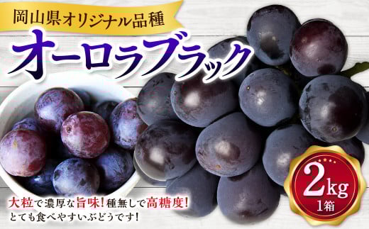 オーロラブラック 2kg ぶどう 葡萄 フルーツ 果物 岡山県 岡山県産 2025年 先行予約 【2025年8月上旬-9月下旬発送予定】
