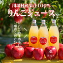 【ふるさと納税】【川場村直送】ストレートりんごジュース1000ml×3本入り【1492868】