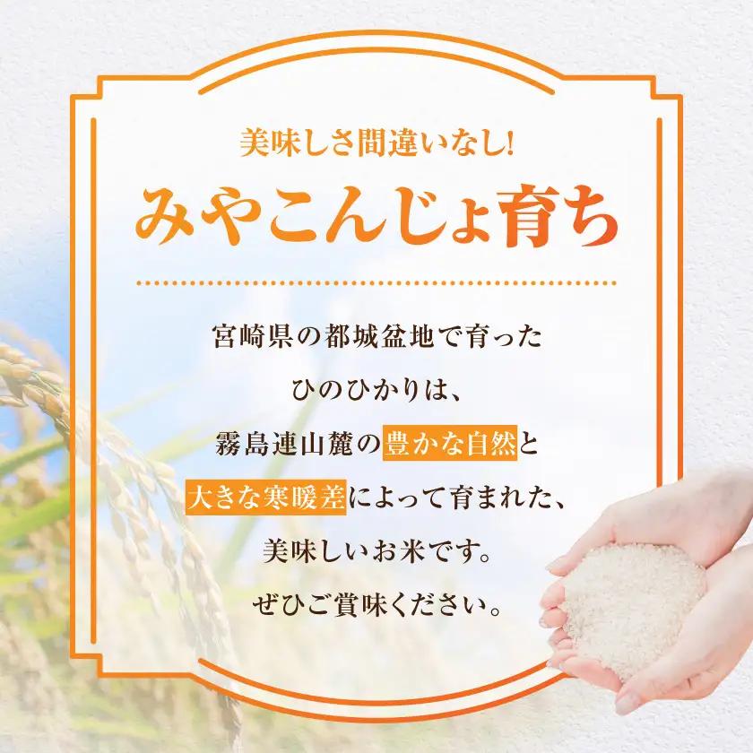 都城産ひのひかり5kg(5kg×1袋)〔12-N5-002-5kg〕_(都城市) 都城産 お米 5kg ひのひかりお弁当 おにぎり