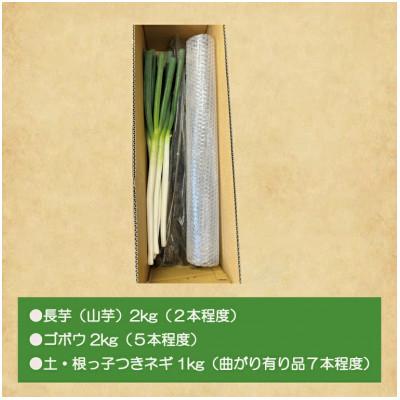 ふるさと納税 水戸市 水戸の3年長芋・ごぼう・ねぎセット　計約5kg |  | 02