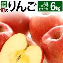 【ふるさと納税】《先行受付》旬のりんご 6kg (品種、サイズおまかせ) (11～12月頃発送) ご自宅向け 産地直送 リンゴ 林檎 フルーツ