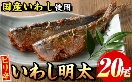 ピリ辛いわし明太(20尾)明太子 めんたいこ イワシ 鰯【マル五】as06-042