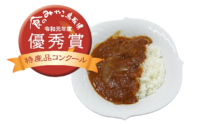 星降る里日南町　完熟とまとたっぷりカレー＆ハヤシ6個セット