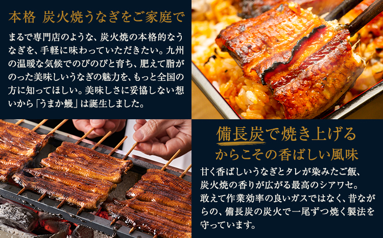 【6ヶ月定期】うなぎ 国産 鰻 特上サイズ 6尾 合計1080g (刻みうなぎ30g×3袋含む) うまか鰻 《申込み翌月から発送》 九州産 たれ さんしょう 付き ウナギ 鰻 unagi 蒲焼 うなぎ