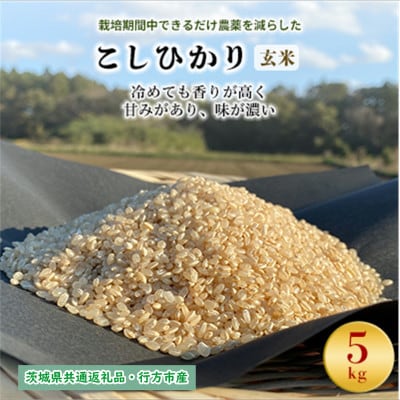 令和7年産新米　栽培期間中できるだけ農薬を減らした【こしひかり】玄米5kg茨城共通返礼品・行方産