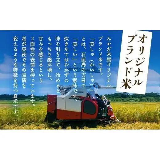 石垣島産 星の美(かい)しゃ 10kg みやぎ米屋 　MK-4 