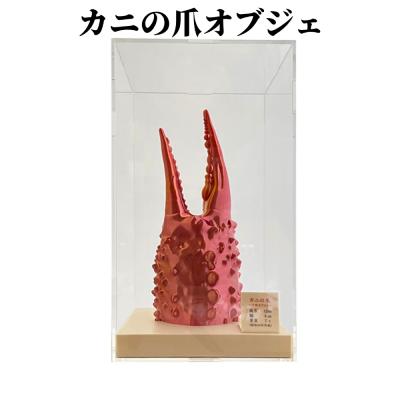 ふるさと納税 紋別市 カニの爪オブジェ(大型)ケース付き