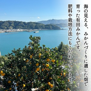 DZ6238_家庭用 訳あり 有田みかん 和歌山 2S～Lサイズ混合 約2kg