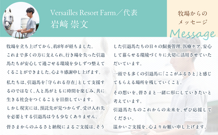 【5千円コース 返礼品無し】より多くの引退馬の幸せな余生を願う　Yogiboヴェルサイユリゾートファーム BRTV024-02