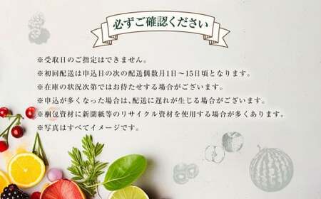 【年6回定期便(偶数月配送)】旬のフルーツ定期便 食べ比べセット 季節により厳選した果物を2品目詰め合わせ 果物 くだもの