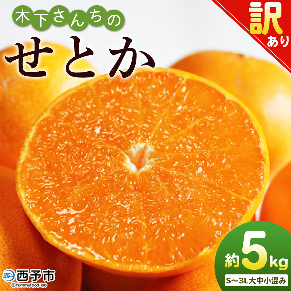 ＜木下さんちのせとか 訳あり 約5kg（S～3L大中小混み）＞ 訳アリ 家庭用 自宅用 柑橘 ミカン みかん 蜜柑 果物 くだもの フルーツ 国産 特産品 木下農園 愛媛県 西予市【常温】『2027年