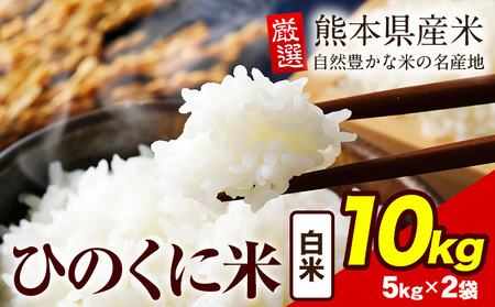 白米 ひのくに米 10kg 《7-14日以内に出荷予定(土日祝除く)》 食品 米 こめ コメ 熊本県産 ふるさと納税 お米 おこめ 熊本