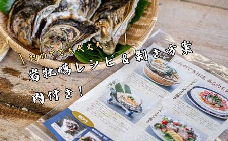 【知夫里島産 岩牡蠣 2kg】ブランド 岩牡蠣 生食可 牡蛎 牡蠣 かき カキ 岩牡蠣 いわがき 海鮮 海産物 海の幸 シーフード 魚貝類 父の日 母の日 バーベキュー ギフト 濃厚 クリーミー