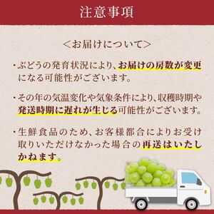 【期間限定発送】 ピオーネ シャインマスカット 2種 食べ比べ セット 約1.8kg