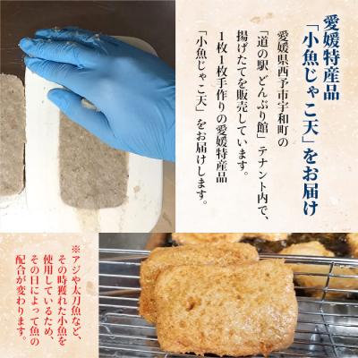 ふるさと納税 西予市 小魚じゃこ天 20枚セット |  | 01