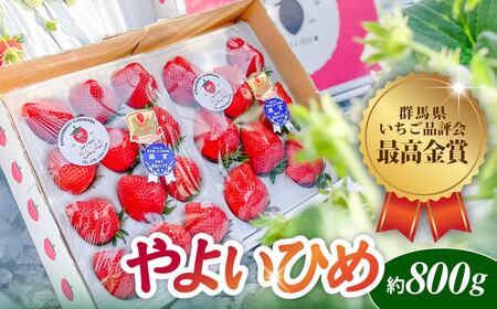 いちご やよいひめ 約800g いちご品評会最高金賞 群馬県 前橋市