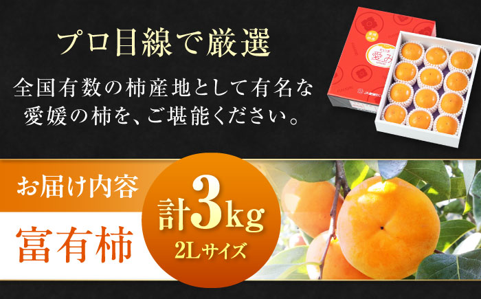 【先行予約】【11月上旬から順次発送】【期間・数量限定】愛媛県産 富有（ふゆう）柿 2Lサイズ 約3kg化粧箱入（12玉入り） かき カキ 柿 果物 フルーツ 愛媛県大洲市/愛媛たいき農業協同組合[A