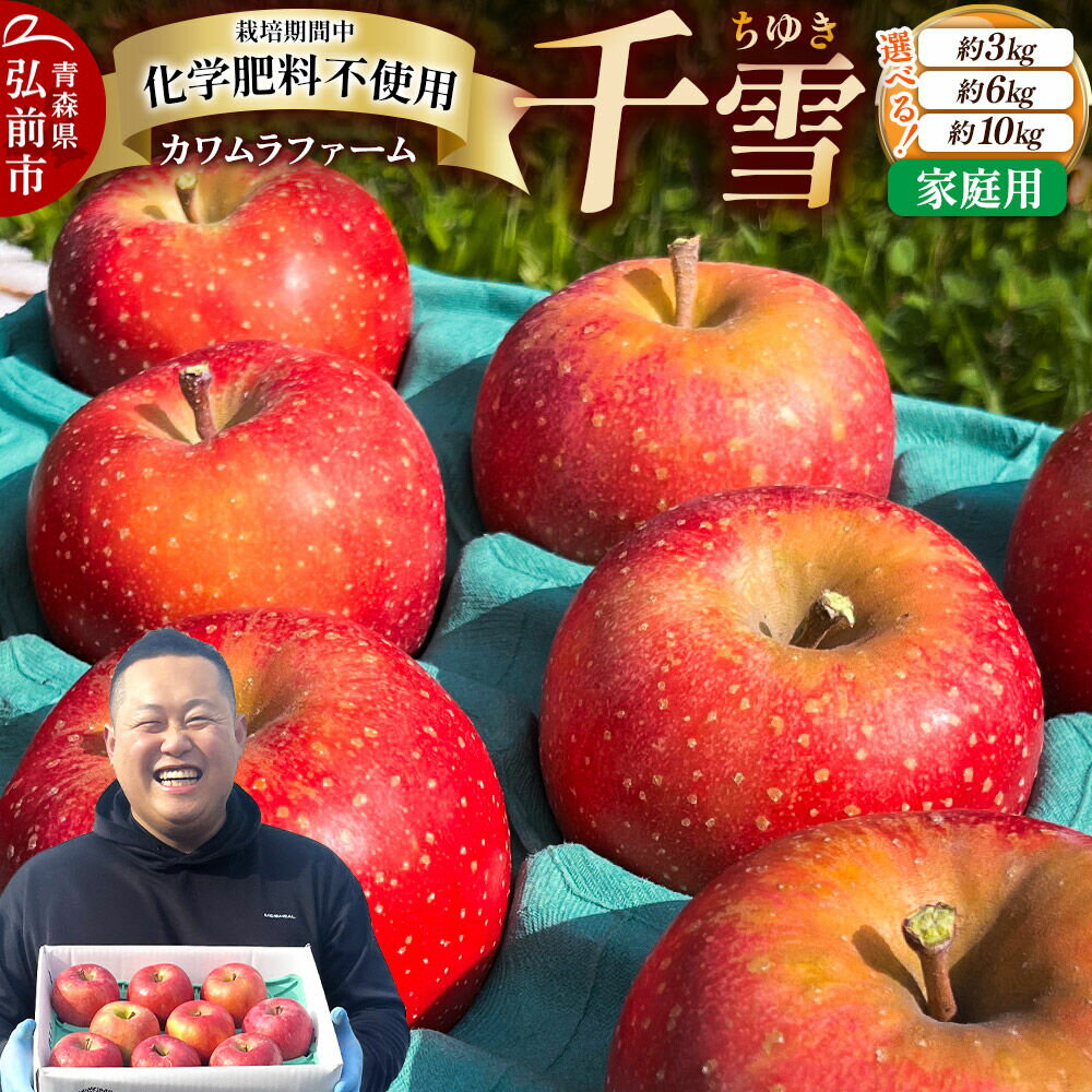 【ふるさと納税】【26年10月下旬〜発送】りんご 千雪【家庭用】【選べる約 3kg／6kg／10kg】カワムラファーム 青森 果物 フルーツ 林檎 リンゴ くだもの [先行受付 アップル おいしい ちゆき 果実 果物 赤色 美味 林檎 弘前市]