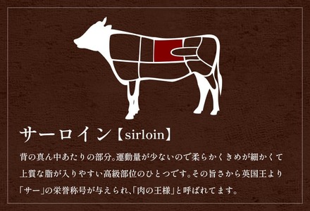 【和牛セレブ】能登牛 サーロインステーキ 240g×4枚