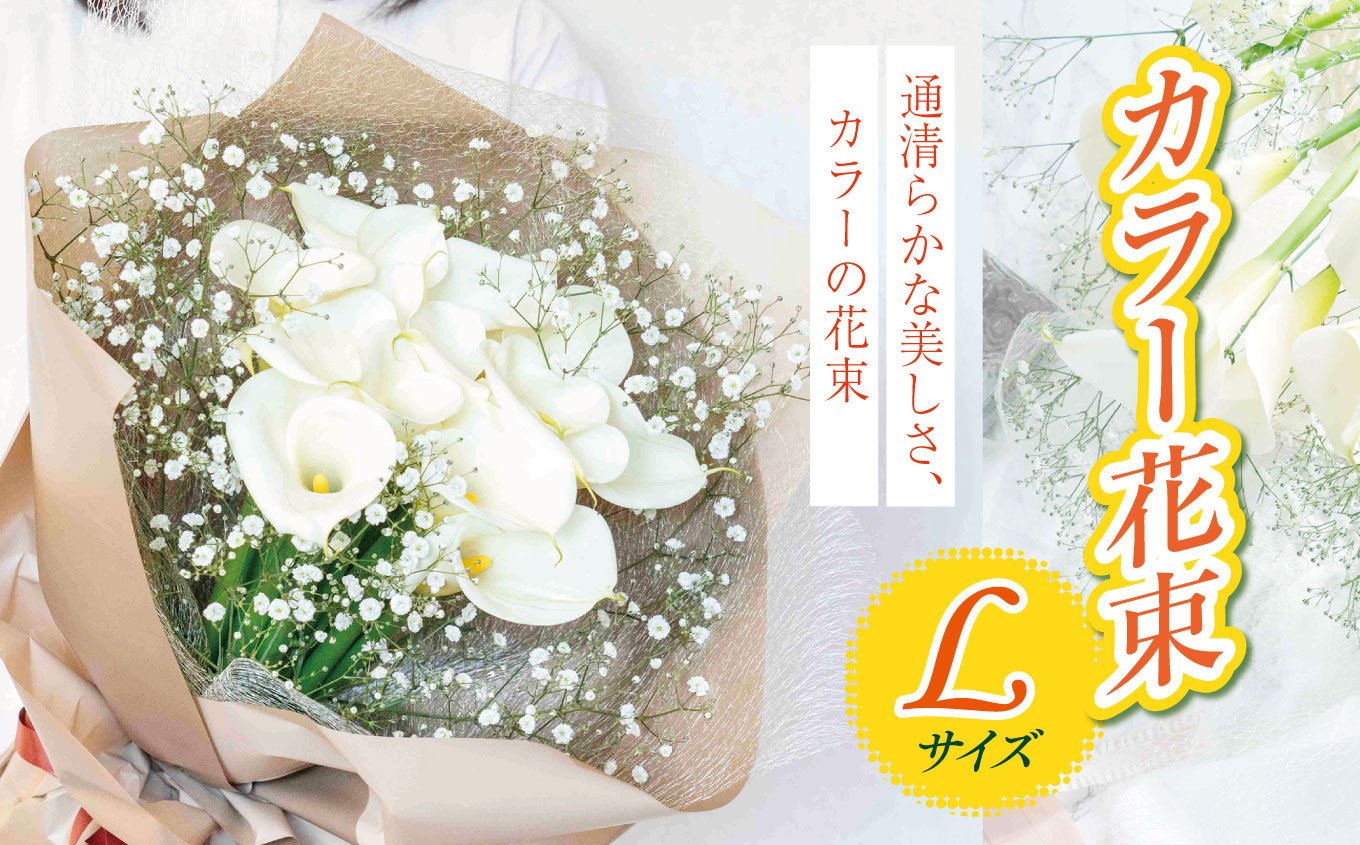 
                   カラー  花束 L サイズ  |  穴太商店 白い カラー  シンプル 結婚式 ブーケ 装飾 贈り物 贈答 ギフト 生花 花 贈り物 ギフト プレゼント ホワイトデー 誕生日 記念日 お祝い 卒業式 自宅 オフィス インテリア オススメ 千葉県 君津市 きみつ
                