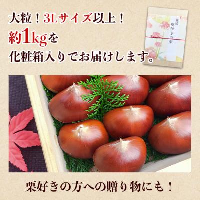 ふるさと納税 西予市 西予市城川産　大きな生栗　サイズ3　1kg(化粧箱入) |  | 02