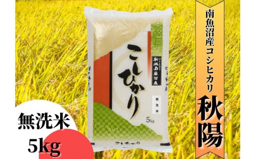 【令和7年産 新米予約】南魚沼産コシヒカリ「秋陽」（無洗米5kg）新潟県の特A地区南魚沼市の美味しいお米【2025年（令和7年）10月上旬より順次発送予定】【米 お米 こしひかり 南魚沼 米 無洗米 こめ 新潟 米】