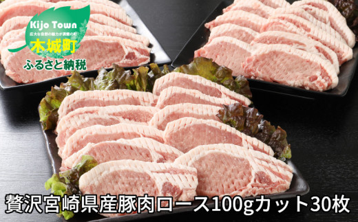 宮崎県産豚肉ロース100gカット30枚