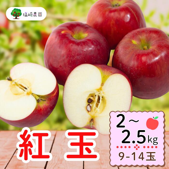 【ふるさと納税】＜先行予約＞ 紅玉【約2～2.5kg(9〜14玉)】(7-A22)＜出荷開始：2025/10月上旬～中旬頃＞【 こうぎょく 林檎 りんご リンゴ 果物 くだもの フルーツ 長野 長野県 飯山市 ギフト プレゼント 記念日 誕生日 父の日 母の日 敬老の日 記念品】