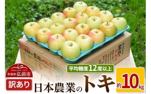 りんご 【先行受付】平均糖度12度以上！ トキ 約10kg 訳あり