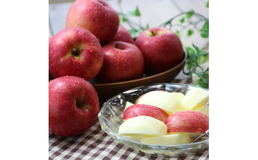 【2026年トップバッター!】長野県産りんご(つがる)約3kg 秀品＜2026年9月上旬から発送＞ 信州 南信州 高森町 産地直送 果物 くだもの 旬のりんご 山下屋荘介