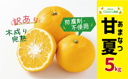 【先行予約】訳あり 完熟 甘夏 5kg 発送期間：2027年3月上旬～無くなり次第終了 八百みかん農園 愛媛県 愛南町