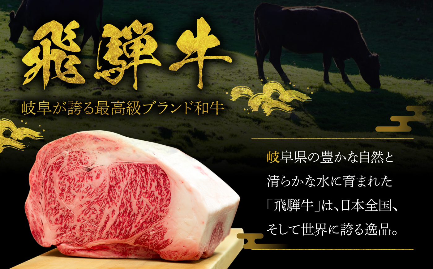 A5等級 飛騨牛 サイコロステーキ 赤身 500g (約250g×2P) 瑞浪市 / マルチョウ渡辺精肉店 牛肉 和牛 国産 ギフト お取り寄せ [AZCW005] 赤身