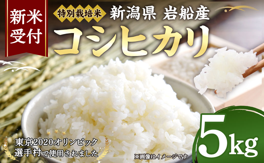 【新米受付・令和7年産米】NA4189 特別栽培米新潟県岩船産コシヒカリ5kg