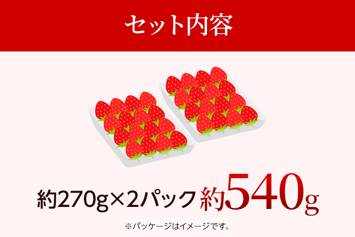 【先行受付】農家直送 朝採り新鮮いちご【博多あまおう】＜12月より順次発送＞ 約270g×2パック 福岡県産 苺 イチゴ 朝採れ 冷蔵 スイーツ ジュース ギフト プレゼント お土産 九州 福岡土産 