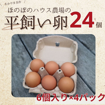 
                  【朝採り】季節の平飼い卵有精卵6個入り×4パック【1487838】
                