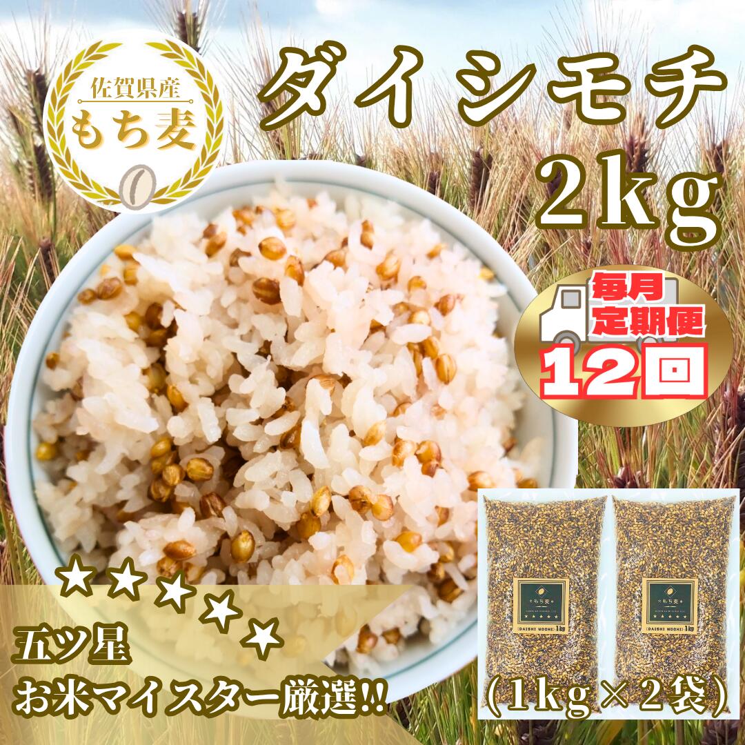 【ふるさと納税】【12回定期便】ダイシモチ2kg もち麦 キラリ もち麦ごはん（CIB39）