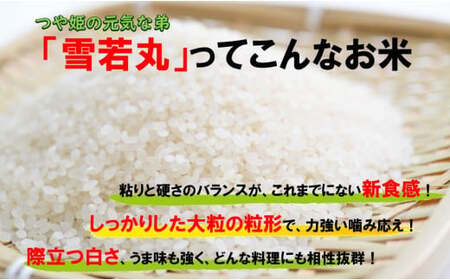 マイスターがつくる　雪若丸　白米　10kg（飯豊町産）【新米予約】(R7年産）