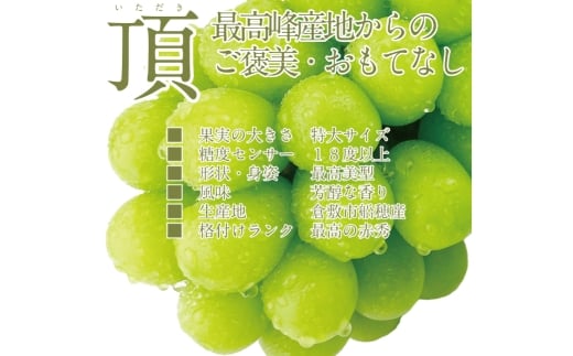 プレミアム シャインマスカット 晴王 2房 約1.4kg
