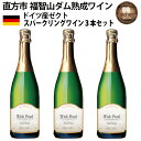 【ふるさと納税】福智山ダム熟成 スパークリングワイン 3本セット FD325 750ml×3本 ウィッシュ・パール ドイツ スパークリング 福岡県 直方市 常温 送料無料