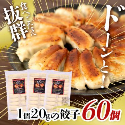 ふるさと納税 糸満市 沖縄高級ブランド豚 濃厚な肉汁が溢れる!美ら島あぐー餃子 20個入(400g)×3パック 合計60個 |  | 01