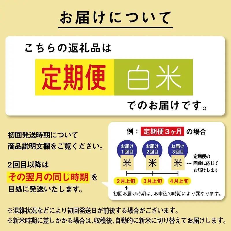 【6ヶ月25kg定期便】白米 あきたこまち 精米 ブランド米 定期便