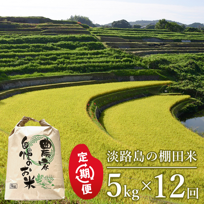 【定期便】淡路島の棚田米　5kg×12回（毎月発送）白米