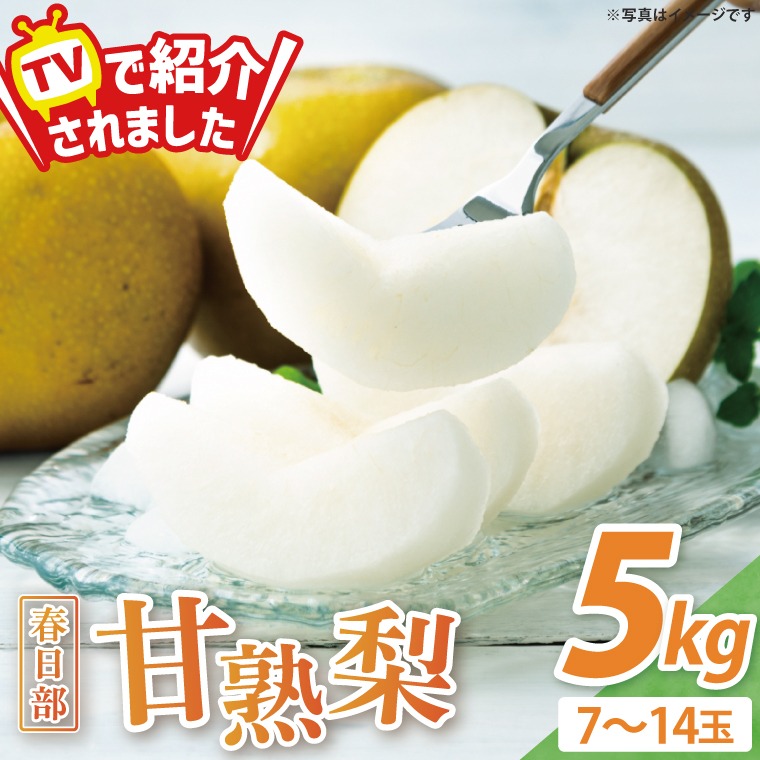 【8月下旬より発送】森田さんが作った☆春日部甘熟梨5kg☆（7~14玉）(BG001-1)